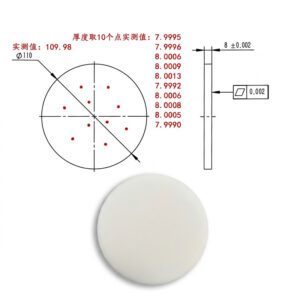 Case 4 Custom Φ110mm Ceramic Reference Disc